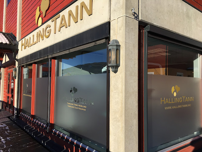 Bilde fra TANNLEGE TRINE HEDELUND i Ål